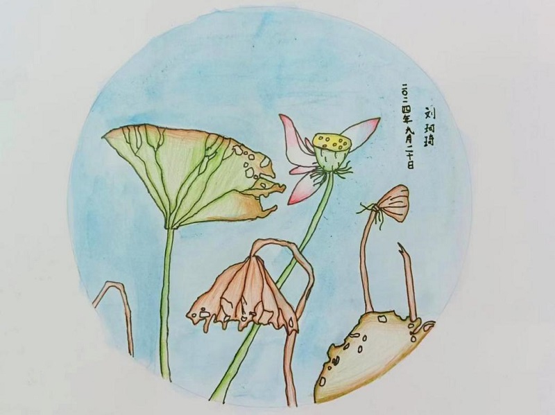 ��Ȧ(�й���)�������ǲ�!