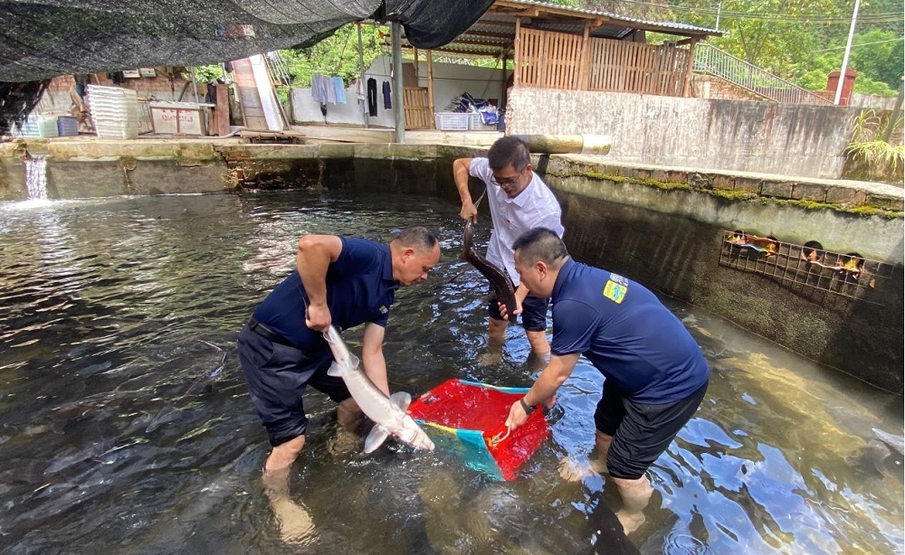 ¶¶È¦(ÖйúÇø)ÈËÉú¾ÍÊDz«!